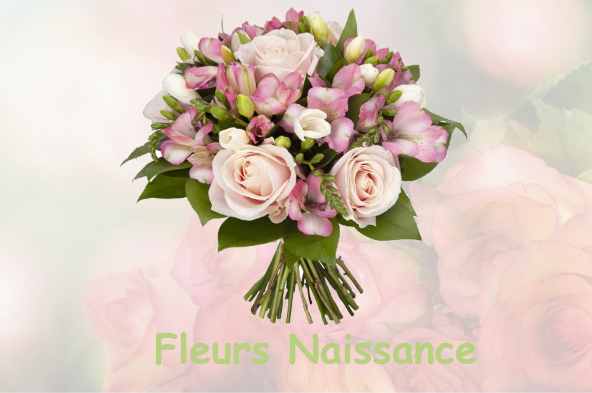 fleurs naissance SAINT-JULIEN-LE-FAUCON